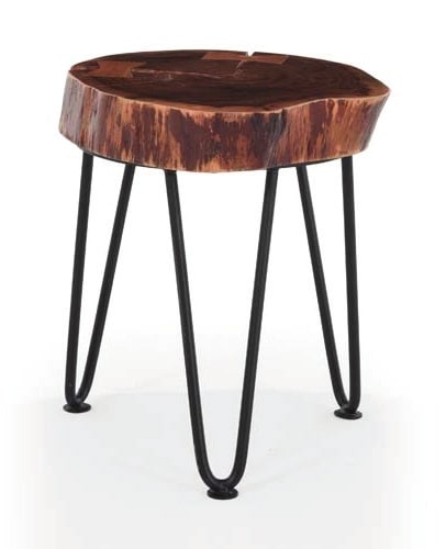 trazy pet table